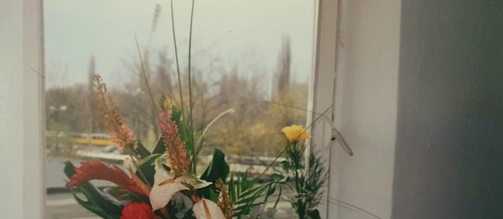 Blick aus dem Fenster in Richtung Mauer an der Eberswalder Straße in Berlin.